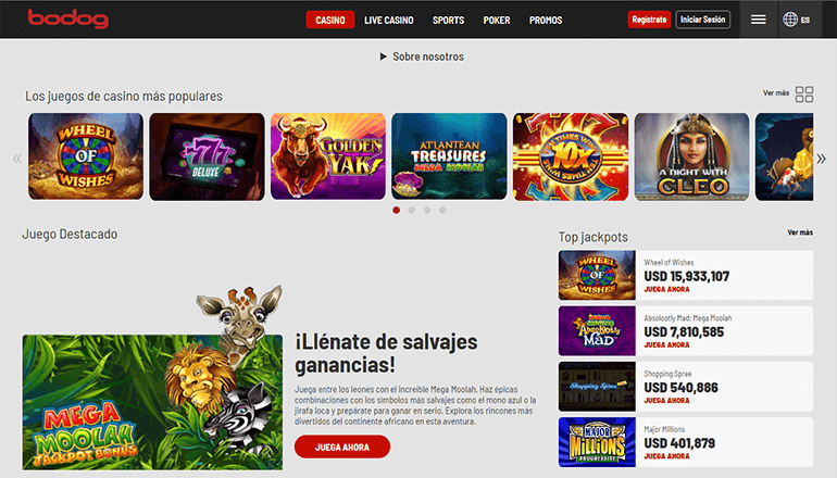 Juegos de casino Bodog